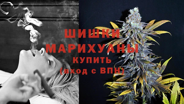 трава Новодвинск