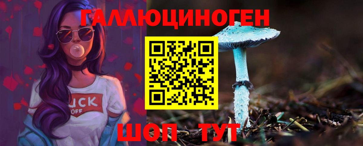 Псилоцибиновые грибы Cubensis Пермь